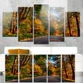 Design Art 'Road Through Lit-Up Fall Forest' 5 Piece Photographic Print on Metal Set Canvas in Green | 32 H x 60 W x 1 D in | Wayfair MT14623-373