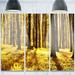 Design Art 'Bright Forest at Sunset' 3 Piece Photographic Print on Metal Set Canvas in Green | 28 H x 36 W x 1 D in | Wayfair MT13958-3P