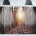 Design Art 'Forest Pathway View at Sunset' 3 Piece Photographic Print on Metal Set Canvas in Brown/Green | 28 H x 36 W x 1 D in | Wayfair