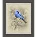 Red Barrel Studio® 'Indigo Bunting II' Framed Photographic Print on Wrapped Canvas Canvas, Wood in Blue/Gray | 19.5 H x 16.5 W x 1.13 D in | Wayfair