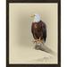 Loon Peak® Wildlife, Birds & Animals 'On Guard' Framed Photographic Print Canvas in Brown | 27 H x 22 W x 0.88 D in | Wayfair