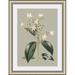 Ashton Wall Décor LLC 'Botanical Cabinet I' Framed Graphic Art Print Paper in Green | 25 H x 19 W x 0.87 D in | Wayfair 6216