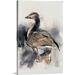 August Grove® Gazit 'Spitalfields Goose, 1997' by Mark Adlington Painting Print on Canvas in Black/Brown/White | 30 H x 20 W x 1.25 D in | Wayfair