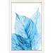 Darby Home Co 'Aqua Leaves III' Framed Graphic Art Print on Canvas Canvas, Glass in Blue/White | 36 H x 24 W x 3 D in | Wayfair DBHM5903 42535880