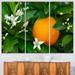 Design Art Orange Blossom - 3 Piece Graphic Art on Wrapped Canvas Set Canvas in Green | 28 H x 36 W x 1 D in | Wayfair PT9311-3P