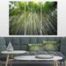Design Art Bamboo forest of Kyoto Japan. - 3 Piece Photographic Print on Wrapped Canvas Set Canvas in Green | 28 H x 36 W x 1 D in | Wayfair