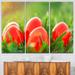 Design Art Easter Eggs in Green Grass - 3 Piece Graphic Art on Wrapped Canvas Set Canvas in Red | 28 H x 36 W x 1 D in | Wayfair PT9624-3P
