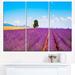 Design Art Remote House & Tree in Lavender Field - 3 Piece Photographic Print on Wrapped Canvas Set Canvas in Blue | 28 H x 36 W x 1 D in | Wayfair