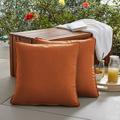 Darby Home Co Basilia Outdoor Square Pillow Cover & Insert Eco-Fill/Polyester/Polyfill/Sunbrella® | 20 W x 20 D in | Wayfair