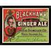 East Urban Home 'Blackhawk Ginger Ale' Framed Graphic Art Print Paper in Green/Red | 12 H x 16 W x 1 D in | Wayfair EASN8163 39525573