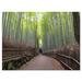 Design Art Arashiyama Bamboo Path Japan Photographic Print on Wrapped Canvas in Gray/Green | 12 H x 20 W x 1 D in | Wayfair PT11175-20-12