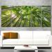 Design Art Peaks of Bamboo in Kyoto Forest 5 Piece Photographic Print on Wrapped Canvas Set Canvas in Green | 28 H x 60 W x 1 D in | Wayfair