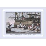 Buyenlarge A Whale Brought Along-Side a Ship by J.H. Clark Framed Painting Print in Black/Gray/Pink | 24 H x 36 W x 1.5 D in | Wayfair