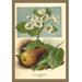 Buyenlarge 'The Pear-Blossom. Pear.' by W.H.J. Boot Painting Print in Brown/Green | 36 H x 24 W x 1.5 D in | Wayfair 0-587-17631-8C2436