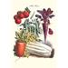 Buyenlarge Vegetables Carrot Beet Tomato & Celery by Philippe-Victoire LevÃªque De Vilmorin - Unframed Graphic Art Print in Green/Red | Wayfair