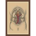 Buyenlarge 'The Large Intestine' Painting Print Paper in Gray | 36 H x 24 W x 1.5 D in | Wayfair 0-587-11895-4C2436