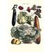 Buyenlarge Vegetables by Philippe-Victoire LevÃªque De Vilmorin - Graphic Art Print in Brown/Green | 66 H x 44 W x 1.5 D in | Wayfair