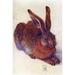 Buyenlarge 'Field Hare' by Albrecht Durer Painting Print in White | 36 H x 24 W x 1.5 D in | Wayfair 0-587-26482-9C2436