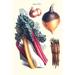 Buyenlarge Vegetables Rhubard Carrot Onion Turnip by Philippe - Victoire Levêque De Vilmorin - Graphic Art Print in Green/Orange/Pink | Wayfair