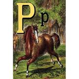 Buyenlarge 'P for the Pony That Plays in the Park' by Edmund Evans Painting Print in Brown/Green/Yellow | 30 H x 20 W x 1.5 D in | Wayfair