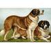 Buyenlarge 'Rough Coated St. Bernards' by Vero Shaw Painting Print in Blue/Brown/Green | 20 H x 30 W x 1.5 D in | Wayfair 0-587-29182-6C2030