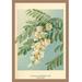 Buyenlarge 'Acacia, Flower & Foliage' by W.H.J. Boot Painting Print in Blue/Green | 42 H x 28 W x 1.5 D in | Wayfair 0-587-17602-4C2842