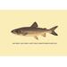 Buyenlarge 'The Great Lake Trout' by H.H. Leonard Graphic Art in Yellow | 20 H x 30 W x 1.5 D in | Wayfair 0-587-02312-0C2030