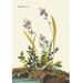 Buyenlarge Field Sparrow by John James Audubon Painting Print in Brown/Green | 66 H x 44 W x 1.5 D in | Wayfair 0-587-03563-3C4466