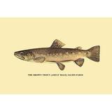 Buyenlarge The Trout by H.H. Leonard Graphic Art in Brown | 44 H x 66 W x 1.5 D in | Wayfair 0-587-02311-2C4466