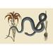 Buyenlarge Wampum Snake - Graphic Art Print in White | 24 H x 36 W x 1.5 D in | Wayfair 0-587-30457-xC2436