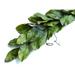 Gracie Oaks Southern Magnolia Garland Real Greenery | 3 H x 37 W x 5 D in | Wayfair GRKS6673 41402319