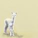 Harriet Bee Kati Little Baby Llama Canvas Art Canvas in White/Yellow | 18 H x 18 W x 1.5 D in | Wayfair HBEE4246 41440090