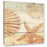 Highland Dunes 'Sea Shells and Starfish on Sandy Beach' Graphic Art on Wrapped Canvas Canvas | 10 H x 10 W x 2 D in | Wayfair HLDS1159 38671853