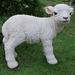 Hi-Line Gift Ltd. Standing Lamb Figurine in White | 17 H x 12 W x 20 D in | Wayfair 87946