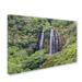 Trademark Fine Art "Opaekaa Falls" by Pierre Leclerc Photographic Print on Wrapped Canvas Canvas | 12 H x 19 W x 2 D in | Wayfair PL0285-C1219GG