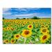 Trademark Fine Art 'Field of Yellow' Photographic Print on Wrapped Canvas Canvas | 18 H x 24 W x 2 D in | Wayfair ALI3928-C1824GG