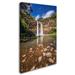 Trademark Fine Art "Wailua Falls" by Pierre Leclerc Photographic Print on Wrapped Canvas Canvas | 19 H x 12 W x 2 D in | Wayfair PL0273-C1219GG