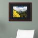Trademark Fine Art 'Splash of Gold' Framed Photographic Print on Canvas Canvas | 13.75 H x 16.75 W x 0.75 D in | Wayfair ALI3821-W1114BMF
