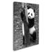 Trademark Fine Art "Panda III" by Philippe Hugonnard Photographic Print on Wrapped Canvas in Black/Green/White | 19 H x 12 W x 2 D in | Wayfair