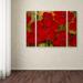 Trademark Fine Art 'Poppies' by Rio 3 Piece Painting Print on Wrapped Canvas Set Metal | 24 H x 32 W x 2 D in | Wayfair MA099-3PC-SET-SM