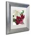 Trademark Fine Art 'Christmas Amaryllis II' by Color Bakery Framed Graphic Art Canvas | 11 H x 11 W x 0.5 D in | Wayfair ALI4023-S1111MF