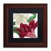 Trademark Fine Art 'Christmas Amaryllis II' by Color Bakery Framed Graphic Art Canvas | 11 H x 11 W x 0.5 D in | Wayfair ALI4023-W1111BMF