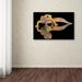Trademark Fine Art 'Leopard Gecko' Photographic Print on Wrapped Canvas Canvas | 16 H x 24 W x 2 D in | Wayfair 1X00340-C1624GG