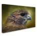 Trademark Fine Art 'Red Tailed Hawk at Reelfoot' Graphic Art Print on Wrapped Canvas Canvas | 16 H x 24 W x 2 D in | Wayfair ALI13938-C1624GG
