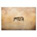 Trademark Fine Art 'Indian Summer Zebra' Graphic Art Print on Wrapped Canvas in White | 30 H x 47 W x 2 D in | Wayfair ALI13867-C3047GG