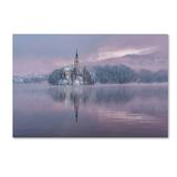 Trademark Fine Art 'Frozen Fairytale' Photographic Print on Wrapped Canvas Metal | 22 H x 32 W x 2 D in | Wayfair 1X00910-C2232GG