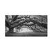Trademark Fine Art 'Pasage 1 OL BW' Photographic Print on Wrapped Canvas Metal in Black/Green/White | 16 H x 32 W x 2 D in | Wayfair
