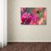Trademark Fine Art 'Bumble Bee' Photographic Print on Wrapped Canvas in White | 30 H x 47 W x 2 D in | Wayfair 1X02336-C3047GG