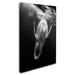 Trademark Fine Art 'Black & Whale' Photographic Print on Wrapped Canvas in Black/White | 24 H x 16 W x 2 D in | Wayfair 1X04296-C1624GG