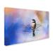 Trademark Fine Art 'Winter Morning Chickadee' Graphic Art Print on Wrapped Canvas in White | 30 H x 47 W x 2 D in | Wayfair ALI14307-C3047GG